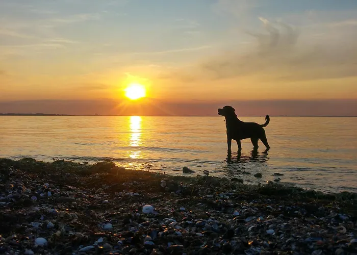 21 Apartamento Kappeln